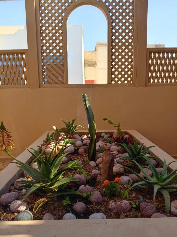 Dar Diafa Samira Apartment Mirleft Exterior foto